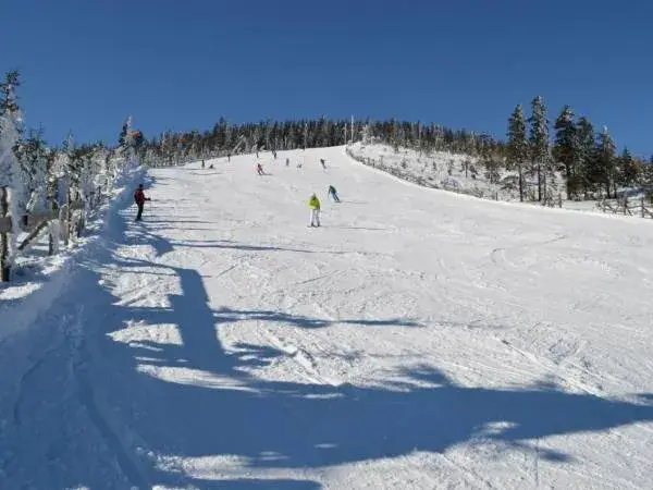 Gdzie najlepiej na snowboard: najlepsze ośrodki w Europie i Polsce