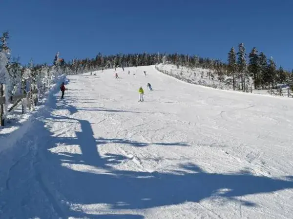 Gdzie najlepiej na snowboard: najlepsze ośrodki w Europie i Polsce